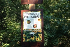 Pollinator Display on Trail