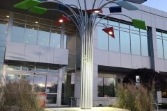 20201105_174428-Medium-rotated