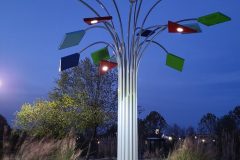 20201105_174922-Medium-rotated