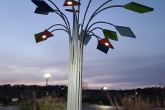 20201105_174936-Medium-rotated