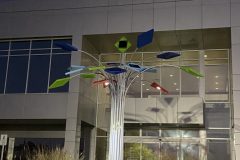 IMG_0661-Medium-rotated