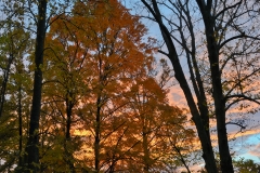 Autumn Sunrise 1