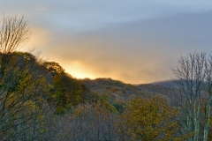 Roan Mtn Autumn Sunrise_Original