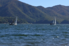 Watauga Sailing with Pallette Treatments