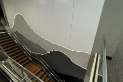 486602880_1569707777310528_7630173764933998117_n-Medium