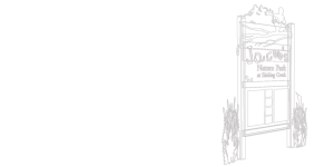 Essyx Website Graphic
