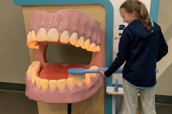 Hands On! Discovery Center Dental Exhibit